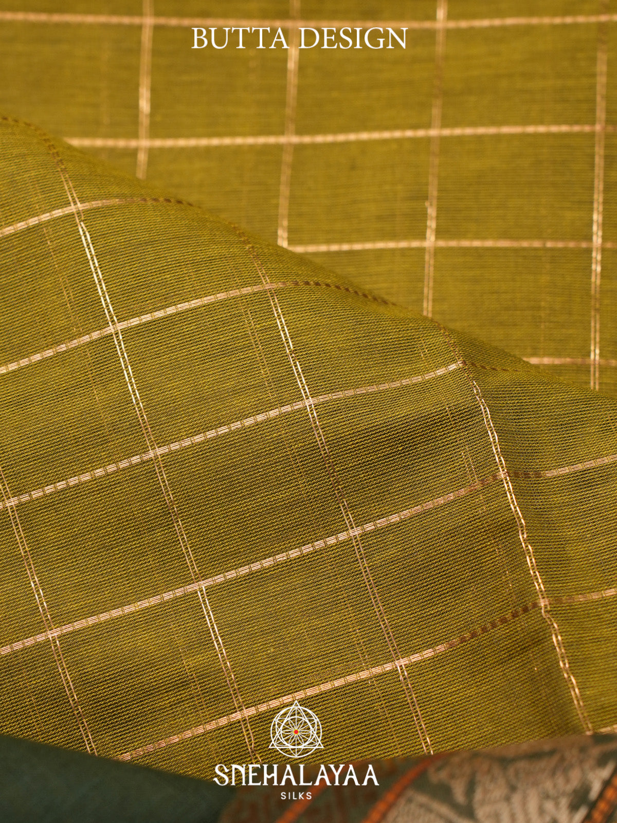 Mehandi Green Kanchi Cotton Saree