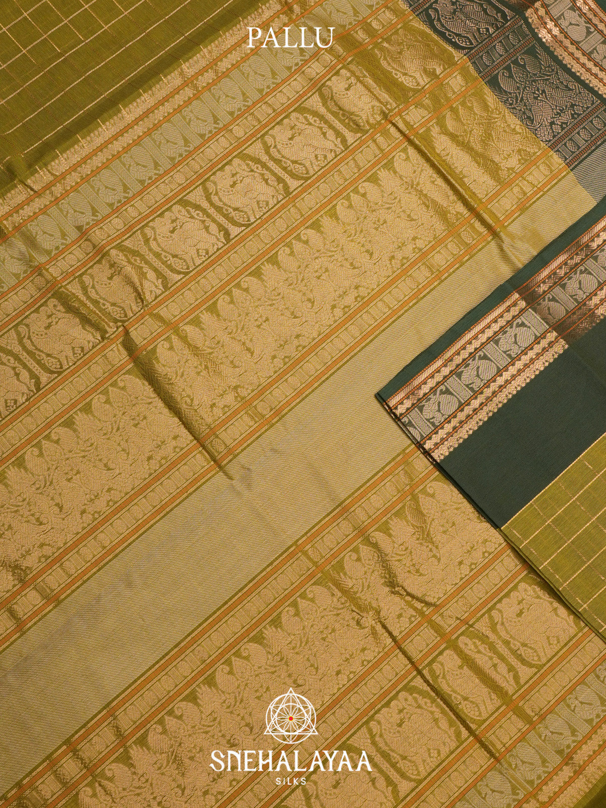 Mehandi Green Kanchi Cotton Saree
