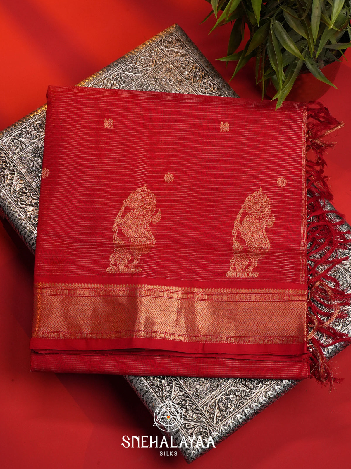 Red Silk Cotton Saree
