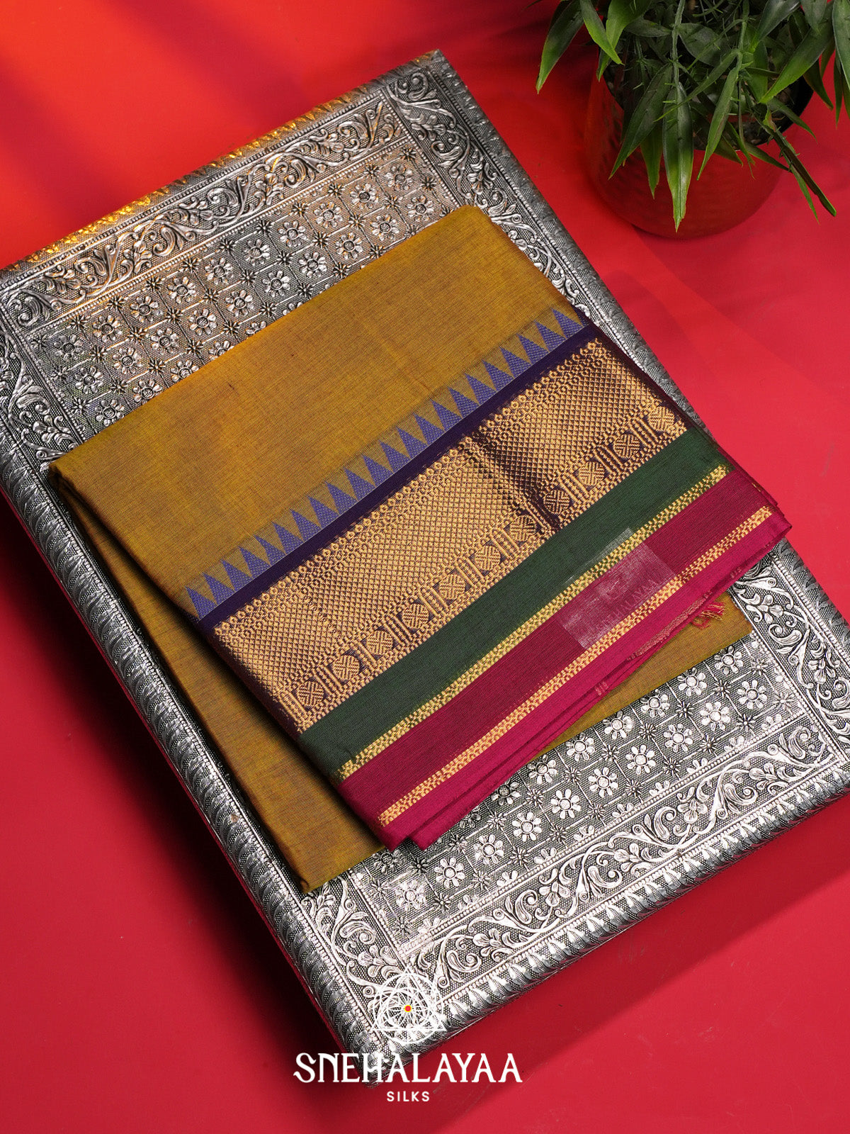 Olive Yellow Handloom Cotton Saree