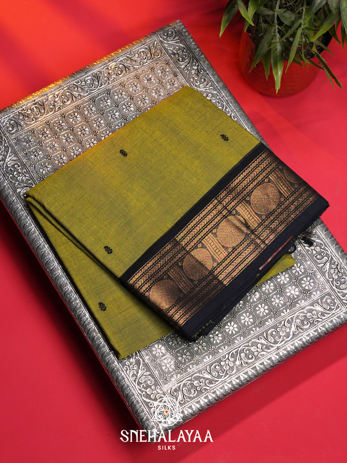 Mehandi Green Handloom Cotton Saree