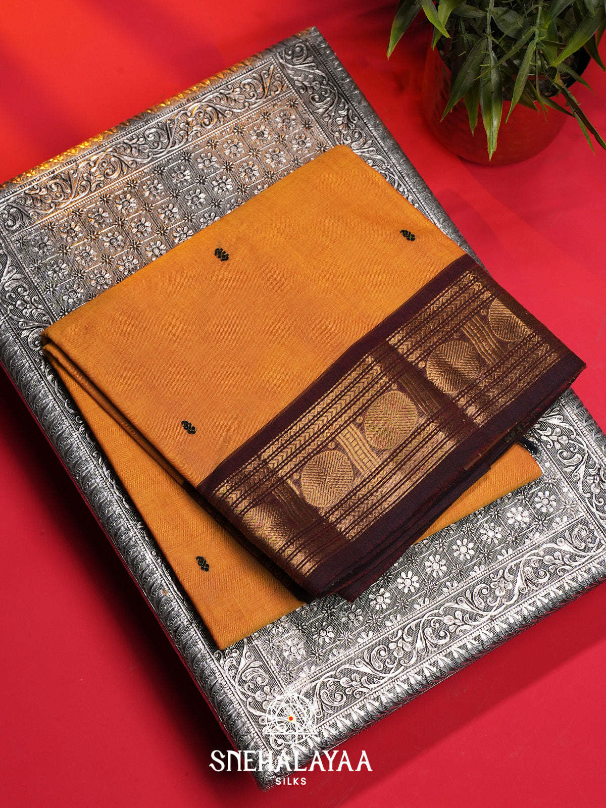 Orange Handloom Cotton Saree