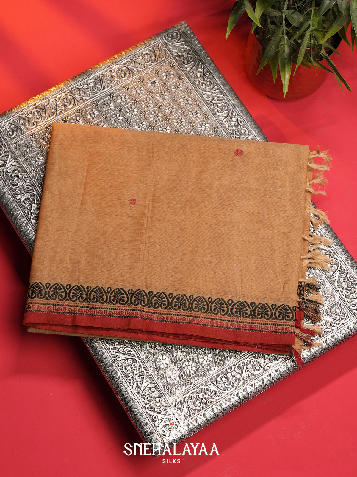 Sandal Handloom Cotton Saree