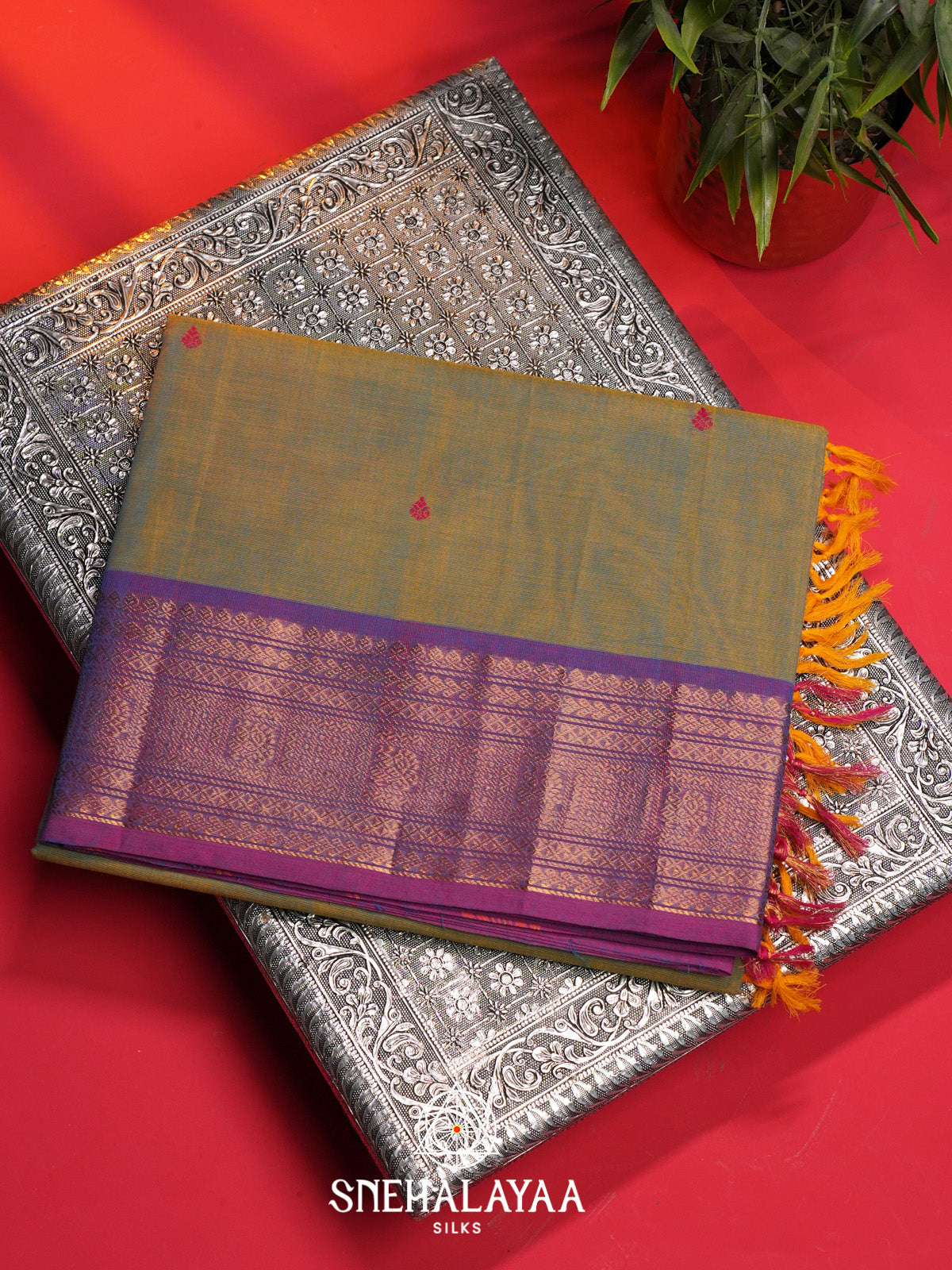 Green Handloom Cotton Saree