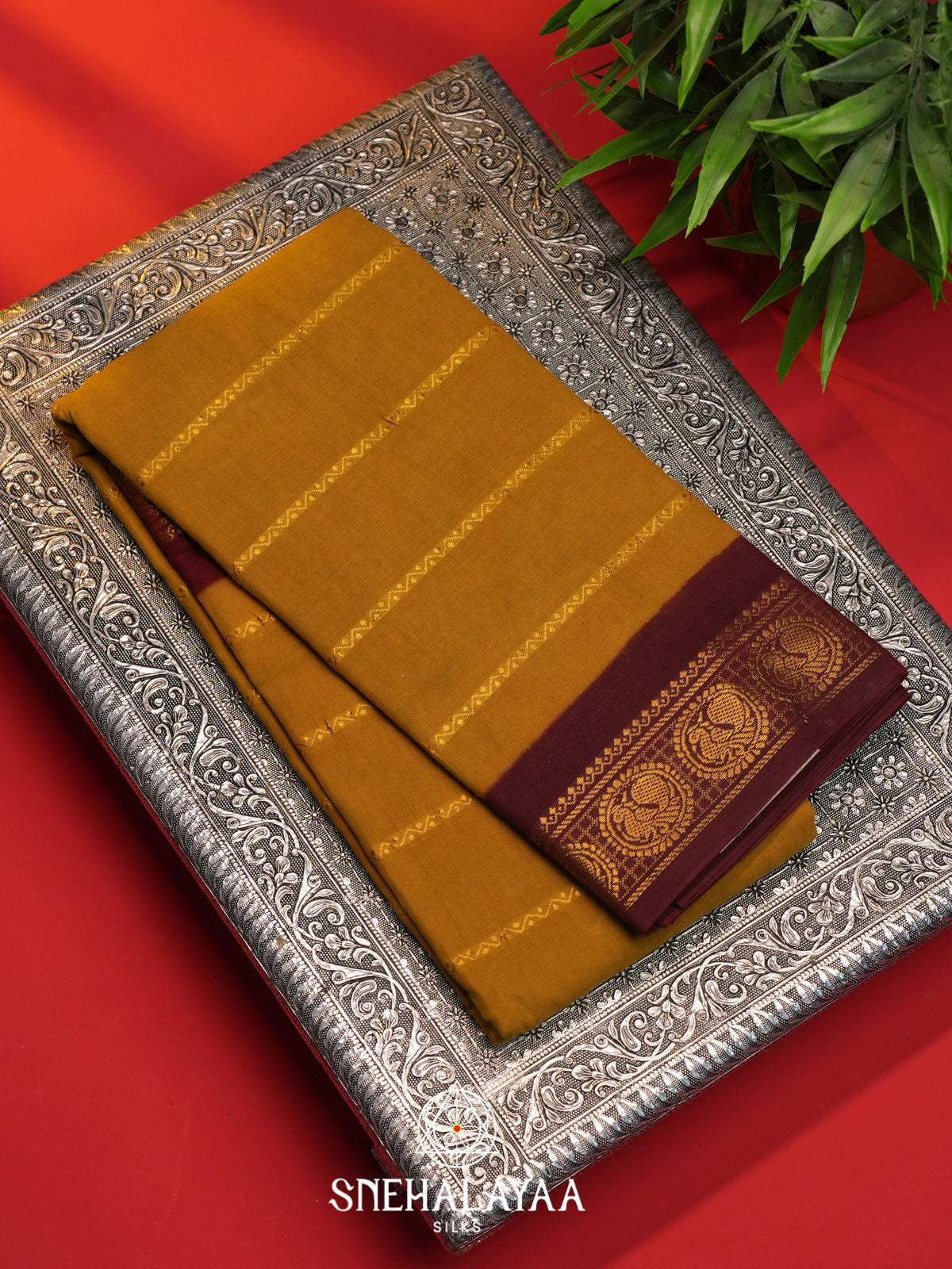 Mustard Sungadi Cotton Saree
