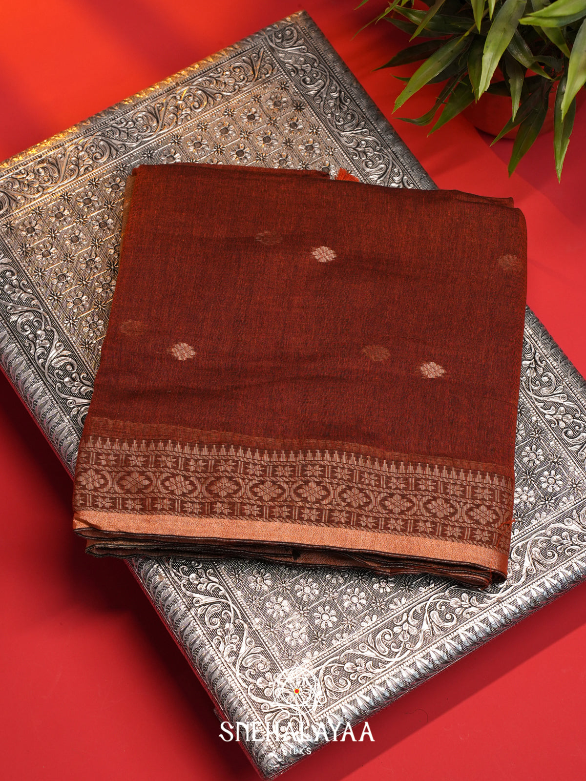 Brown Mul Cotton Saree