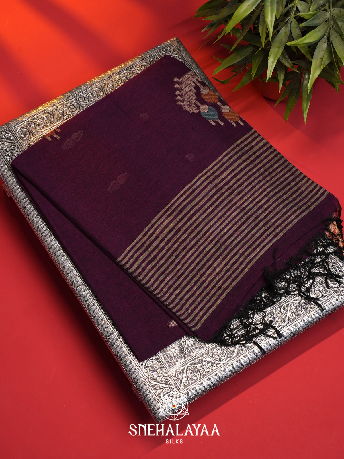 Purple Mul Cotton Saree