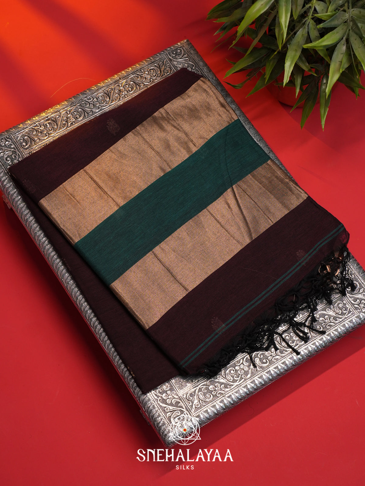 Aubergine Mul Cotton Saree