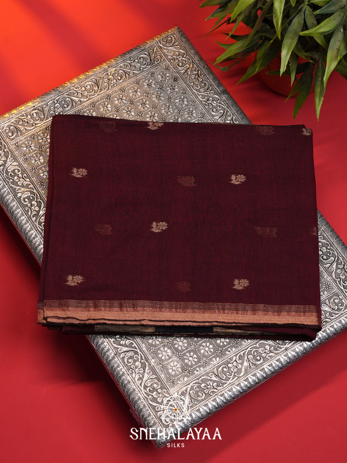 Wine Mul Cotton Saree