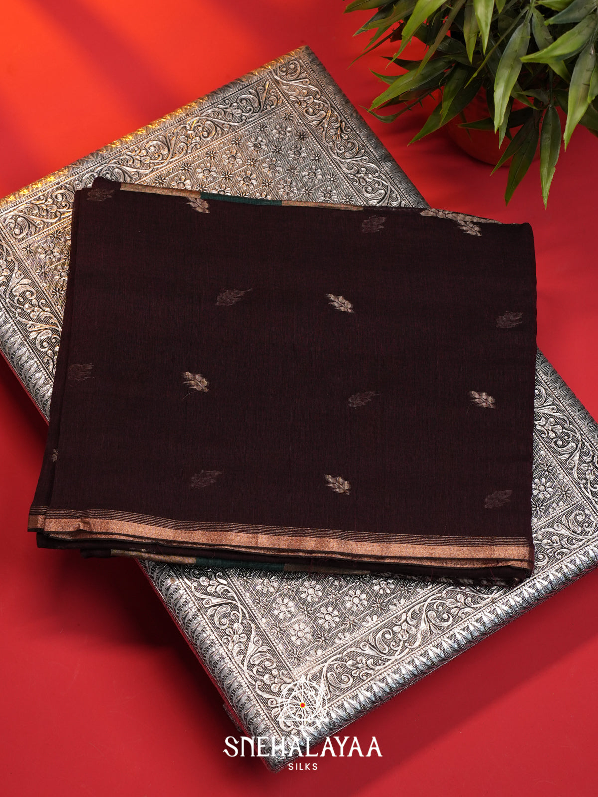 Aubergine Mul Cotton Saree