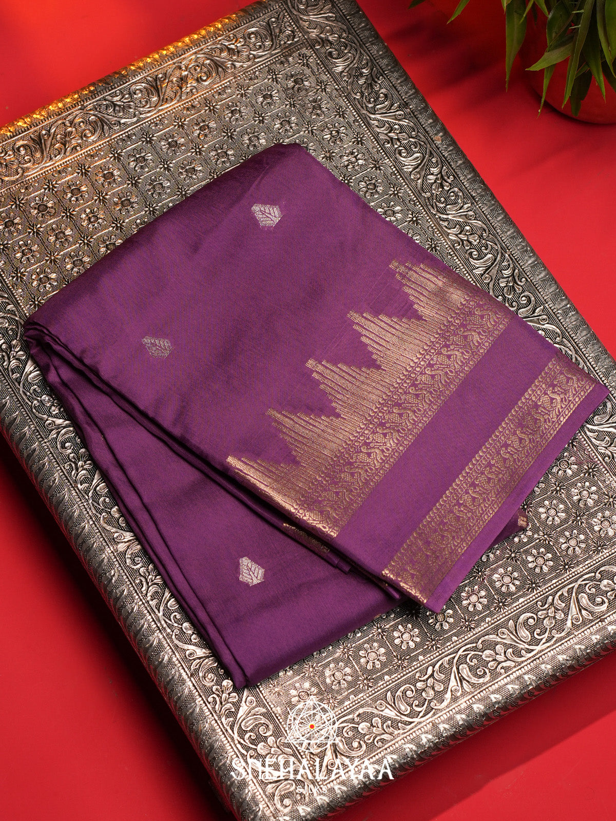 Plum Banarasi Saree