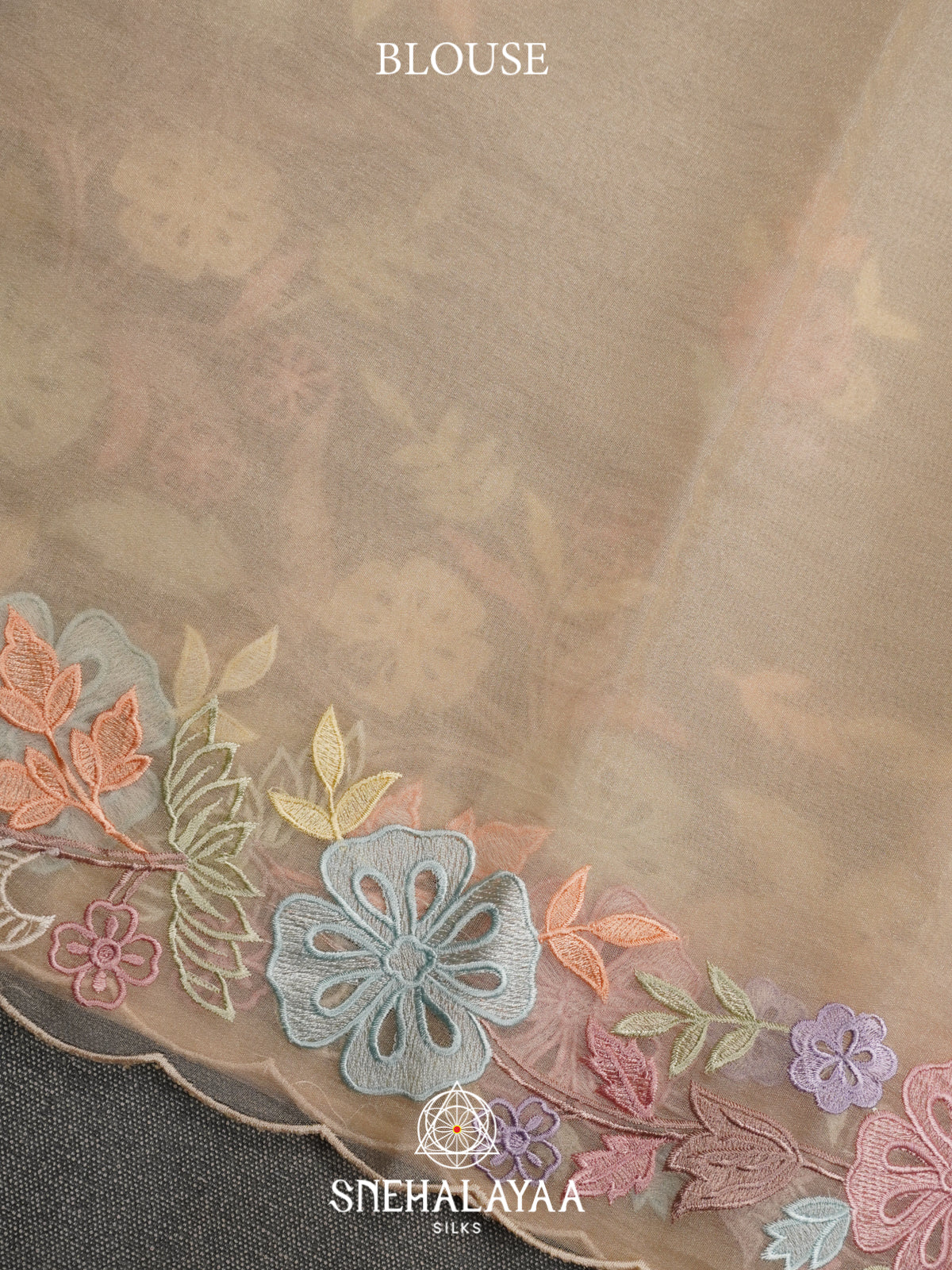 Beige Embroidery Organza Saree