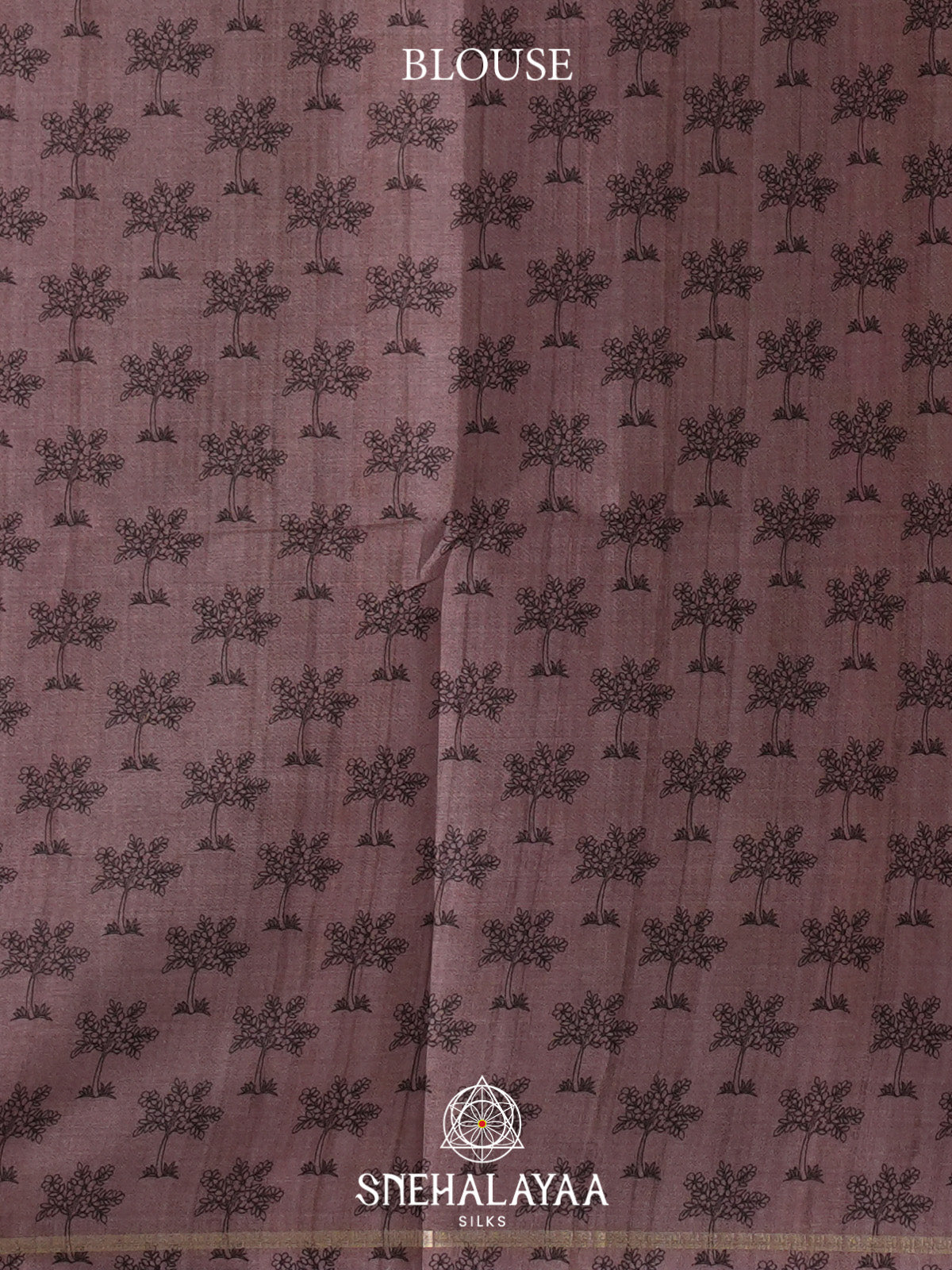 Brown Tussar Saree