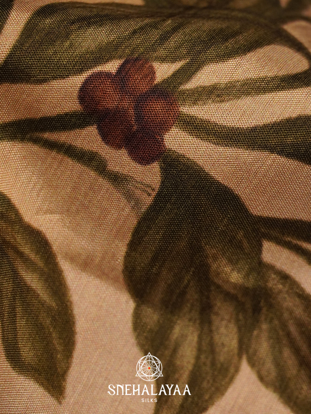 Beige Dola Silk Saree