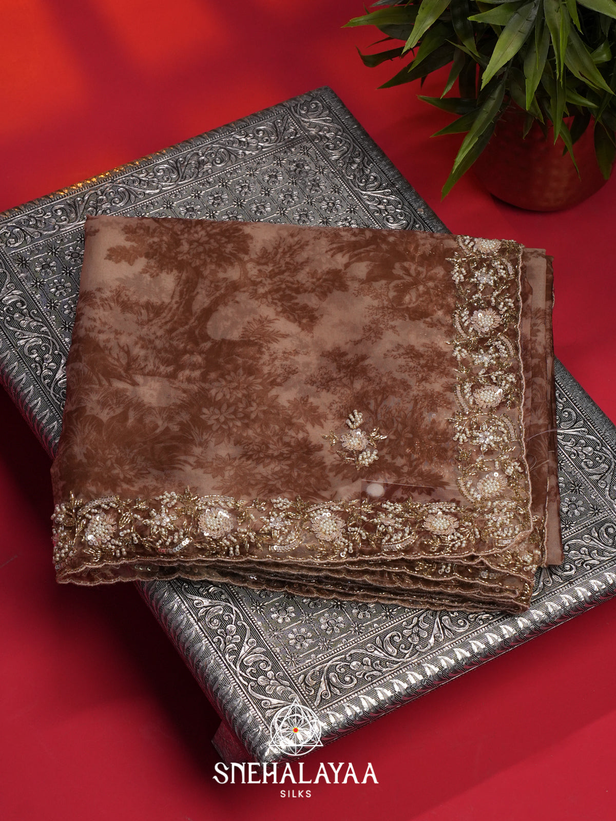 Brown Organza Saree