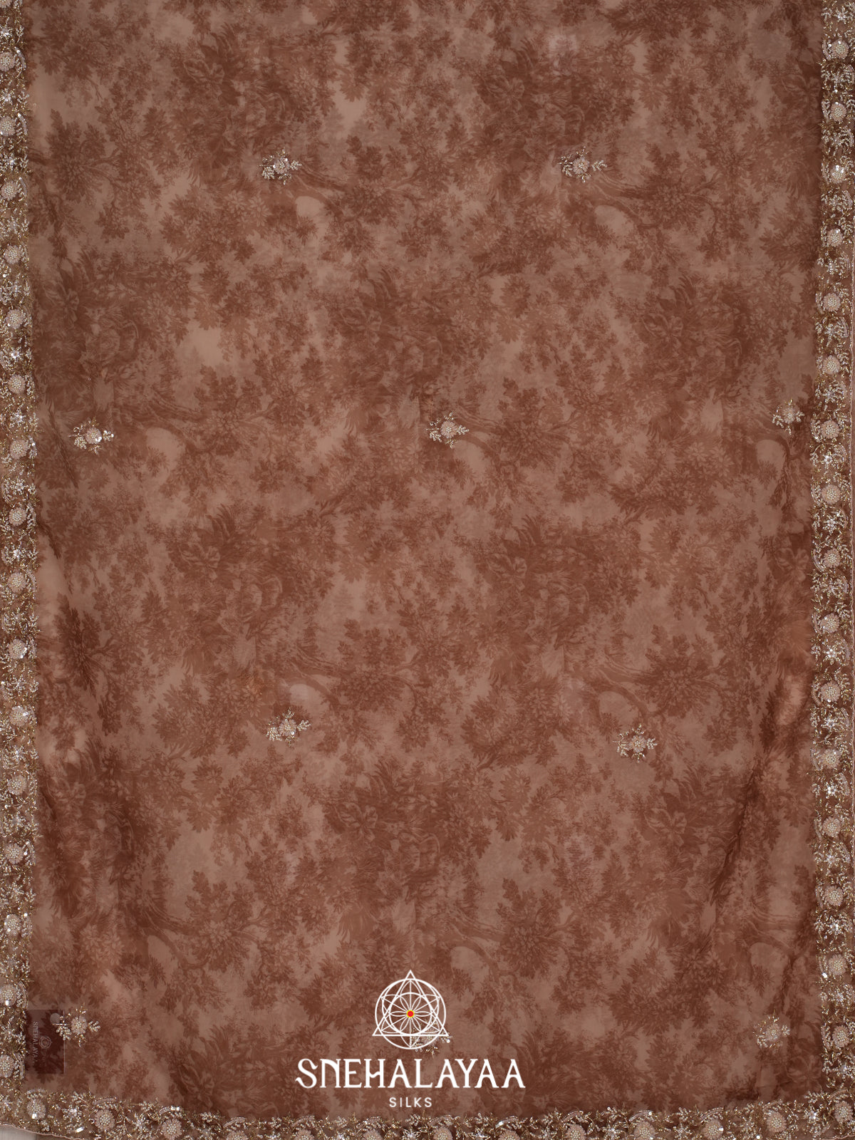 Brown Organza Saree