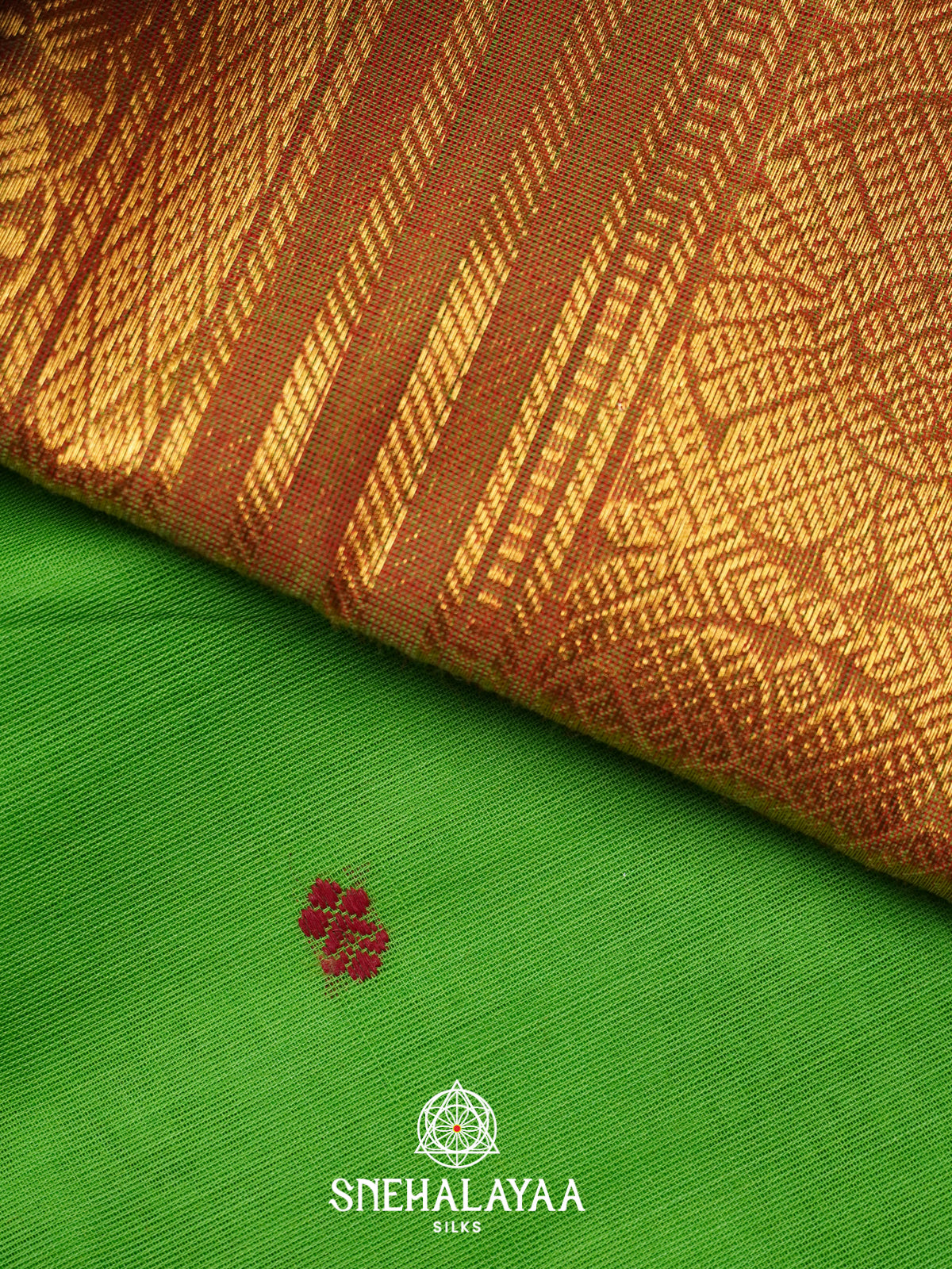 Green Kanchi Cotton Saree