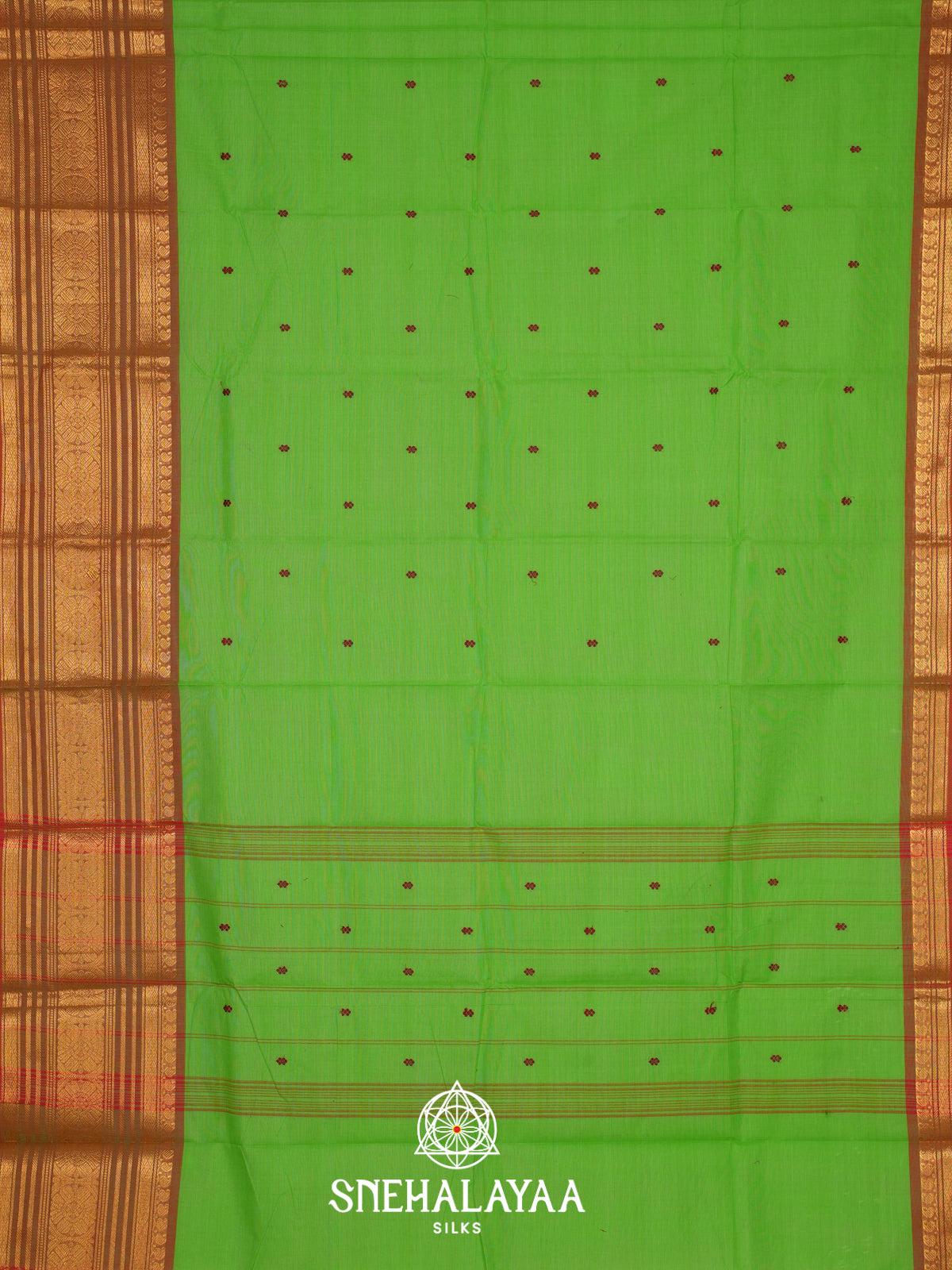 Green Kanchi Cotton Saree
