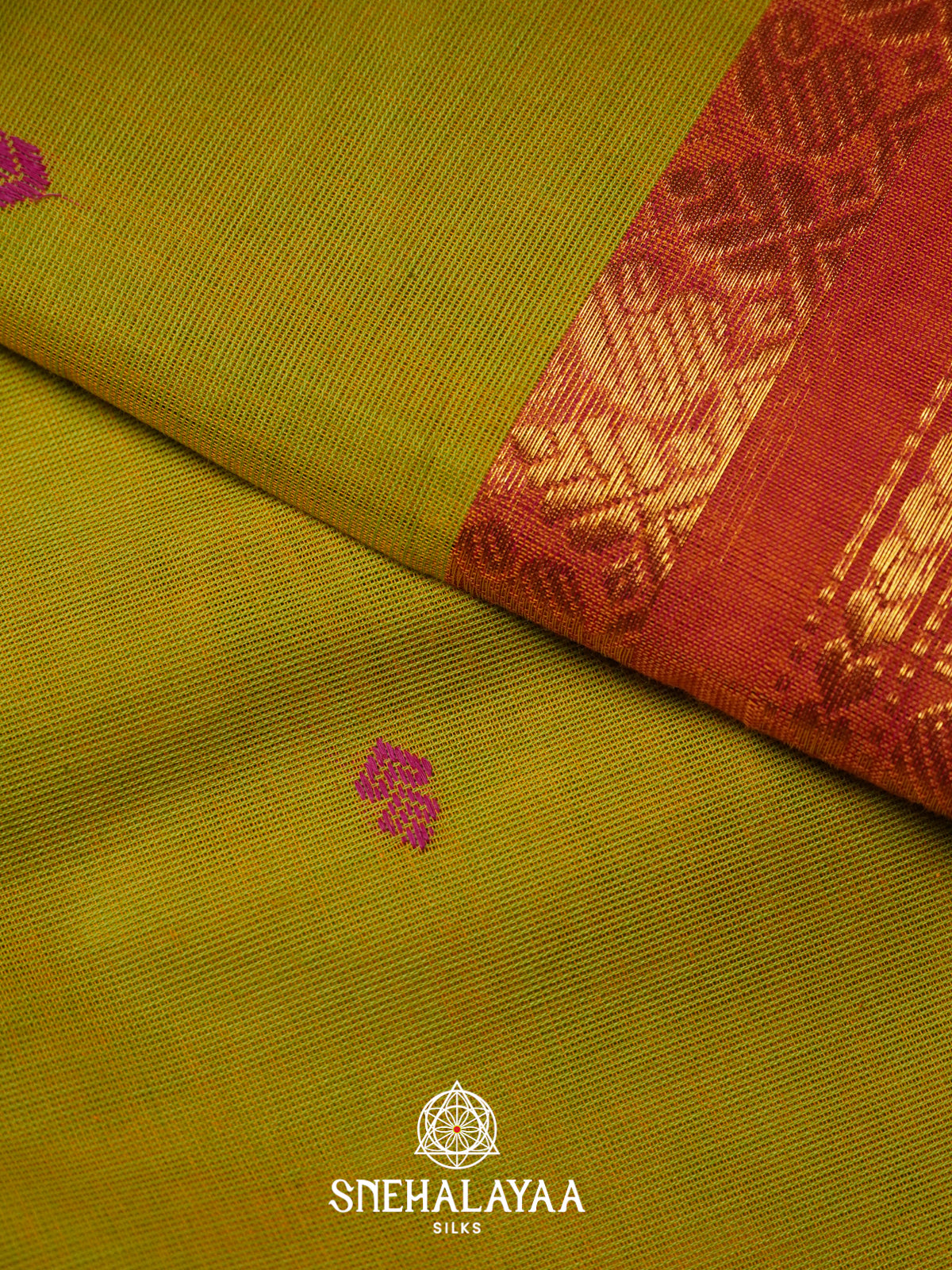 Mehendi Green Kanchi Cotton Saree
