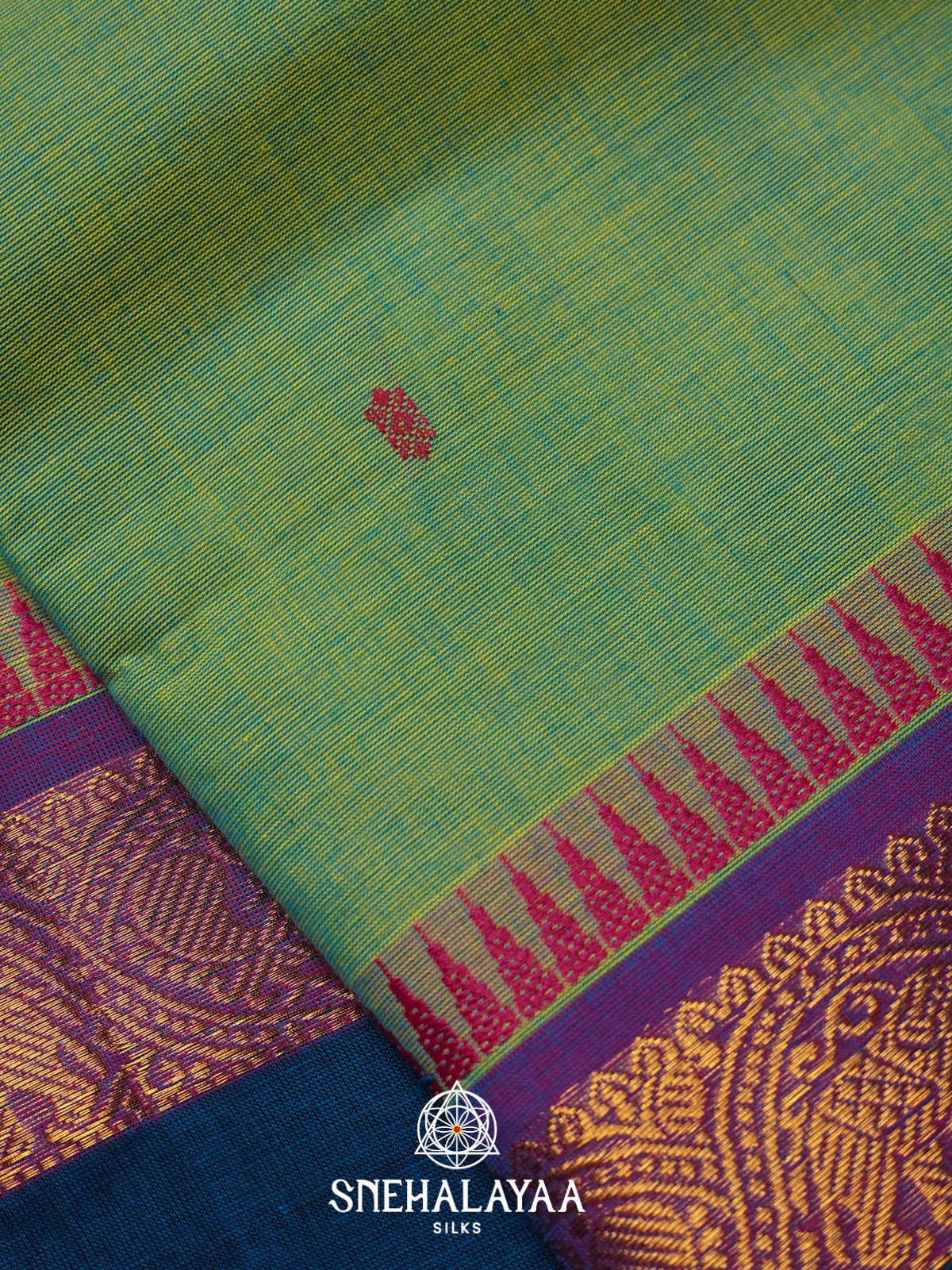 Pista Green Kanchi Cotton Saree
