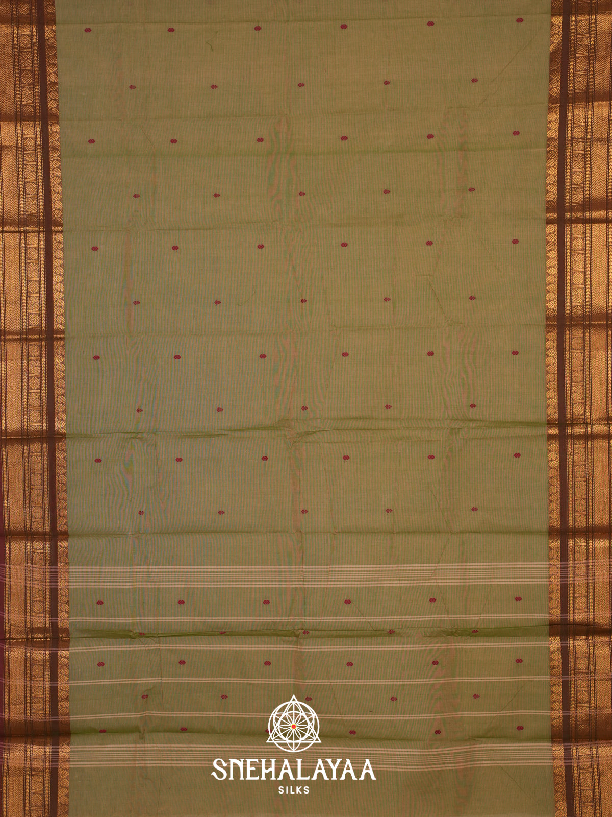 Mehendi Brown Kanchi Cotton Saree