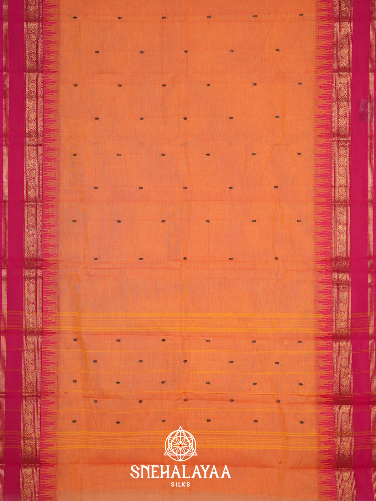 Beige Kanchi Cotton Saree