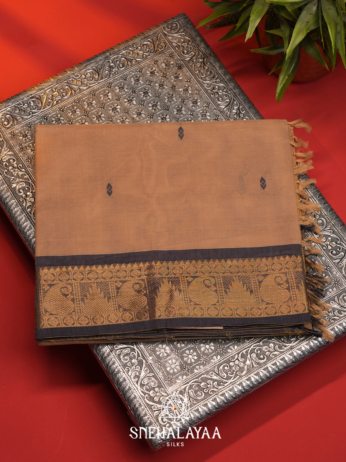 Beige Handloom Cotton Saree
