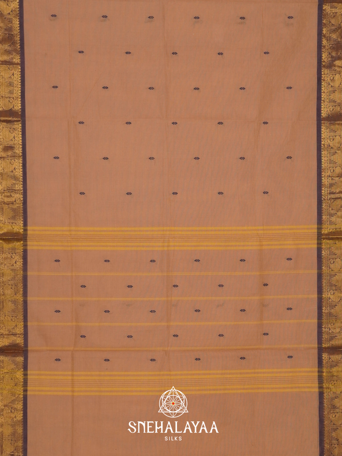 Beige Handloom Cotton Saree
