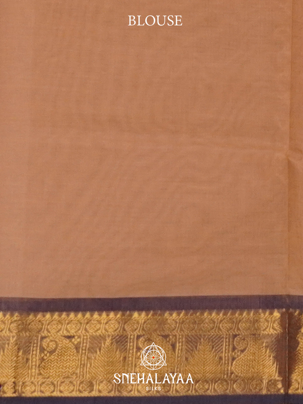 Beige Handloom Cotton Saree