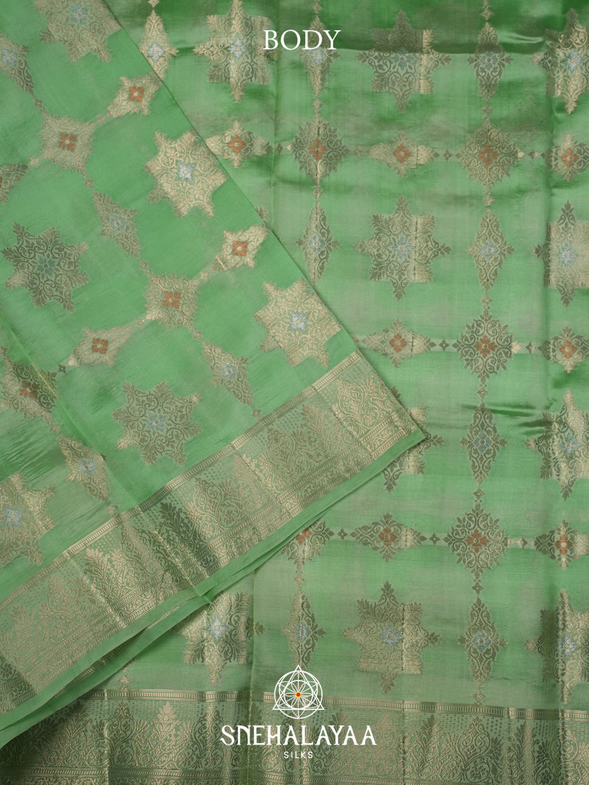 Sea Green  Dupion Silk Saree
