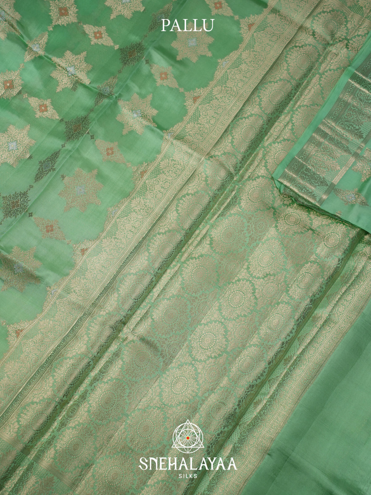 Sea Green  Dupion Silk Saree
