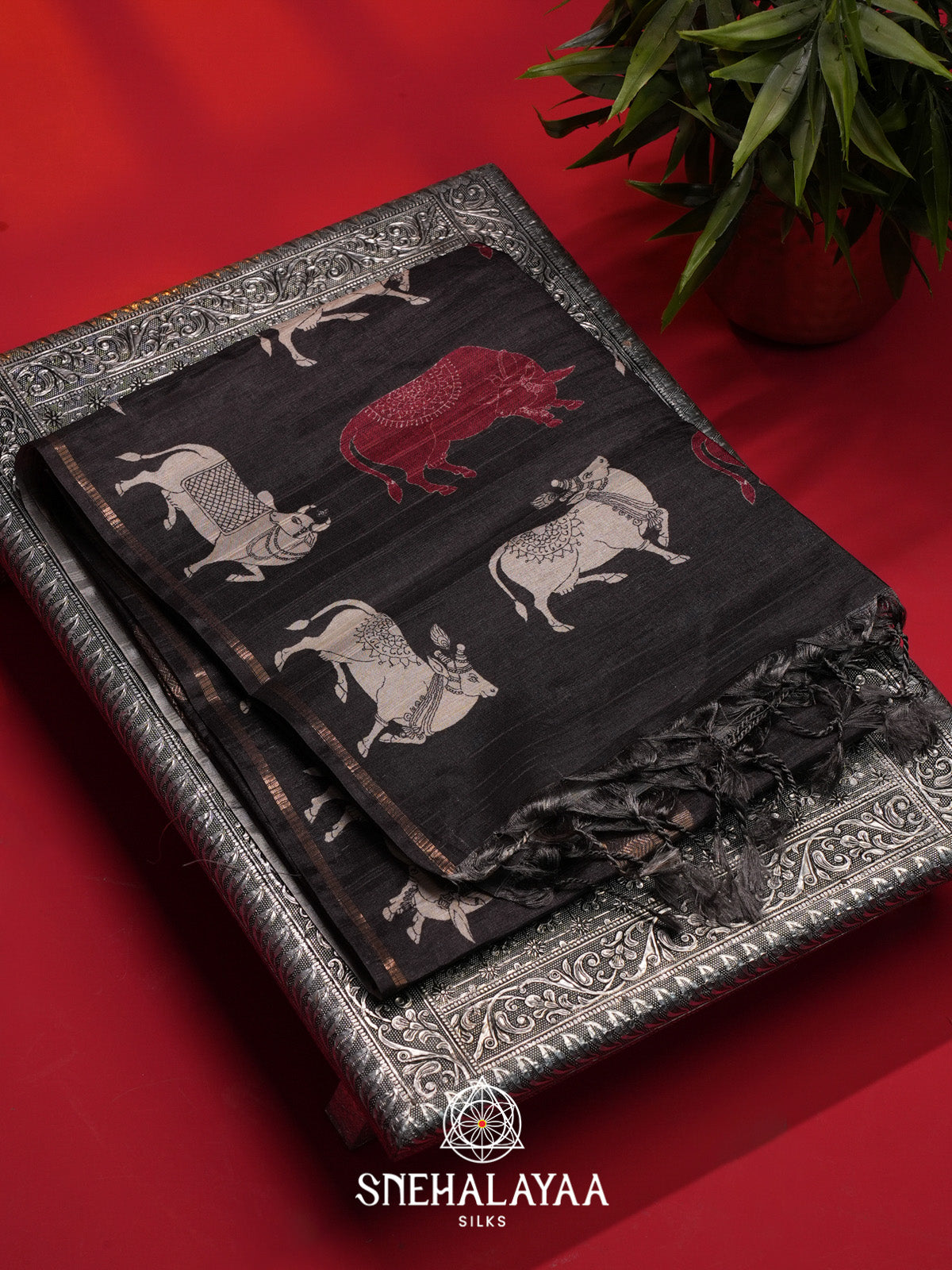 Black Tussar Saree