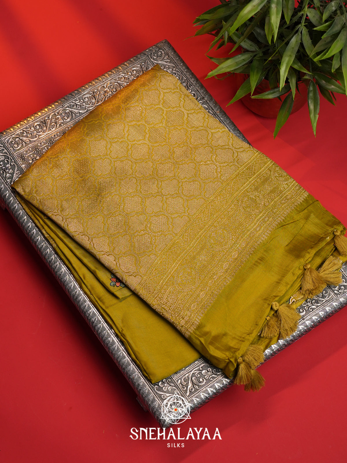 Fenugreen . Dola Saree