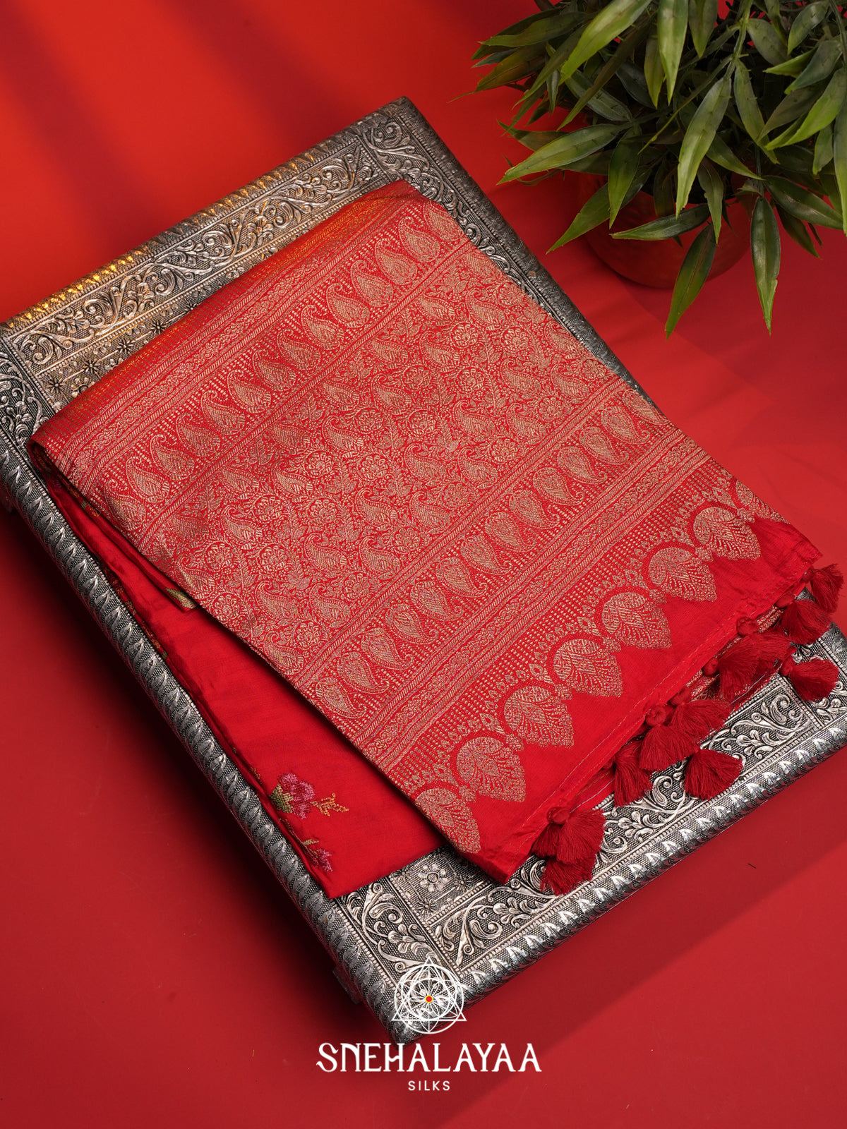 Tomato Red Dola Saree