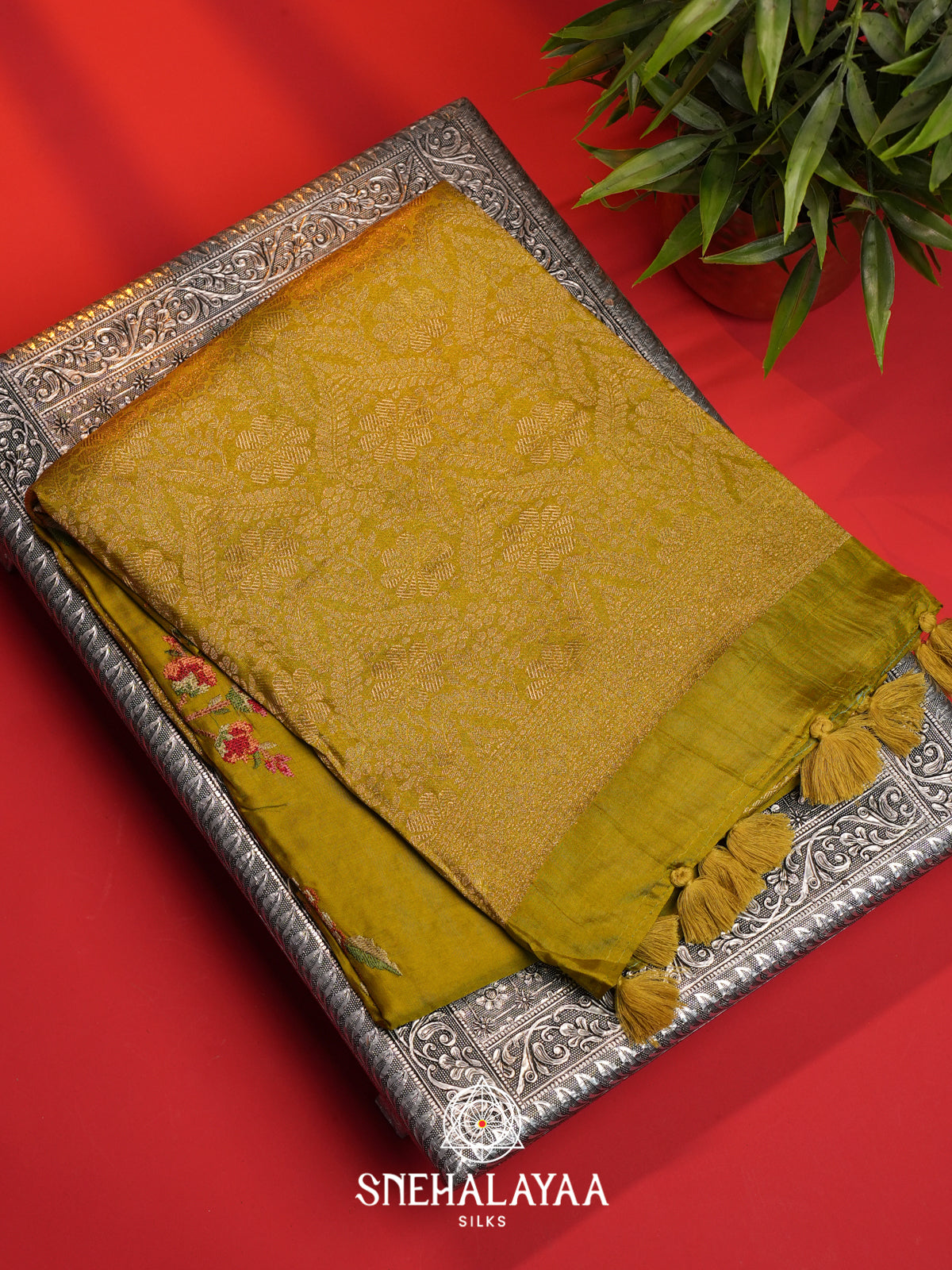 Fenugreen  Dola Saree