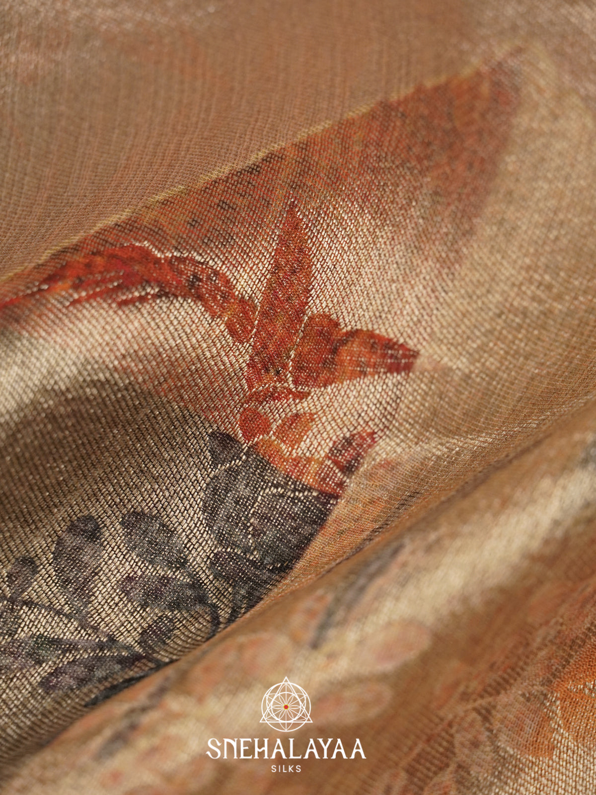 Beige Tissue Silk Saree