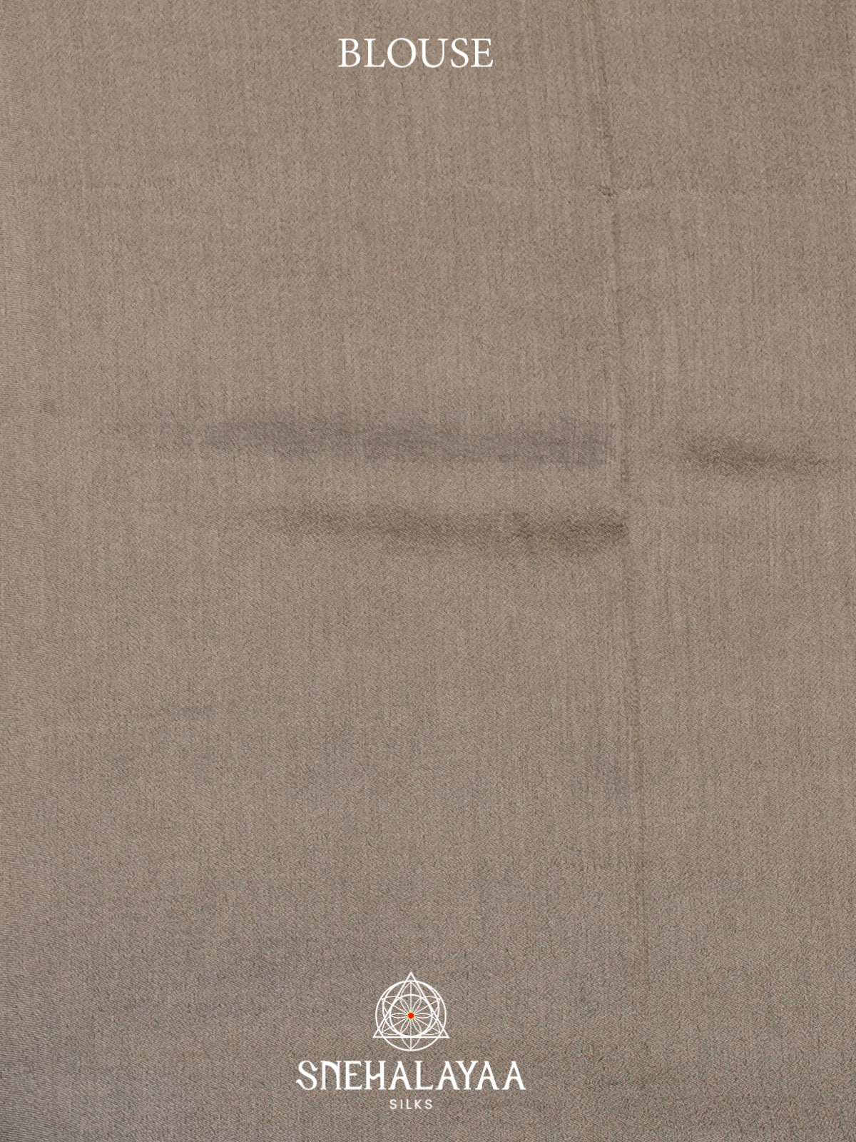 Beige Tissue Silk Saree