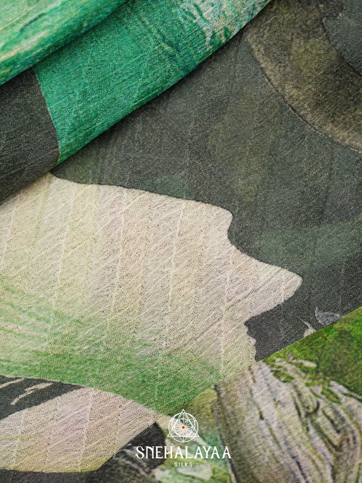 Green Chiffon Saree