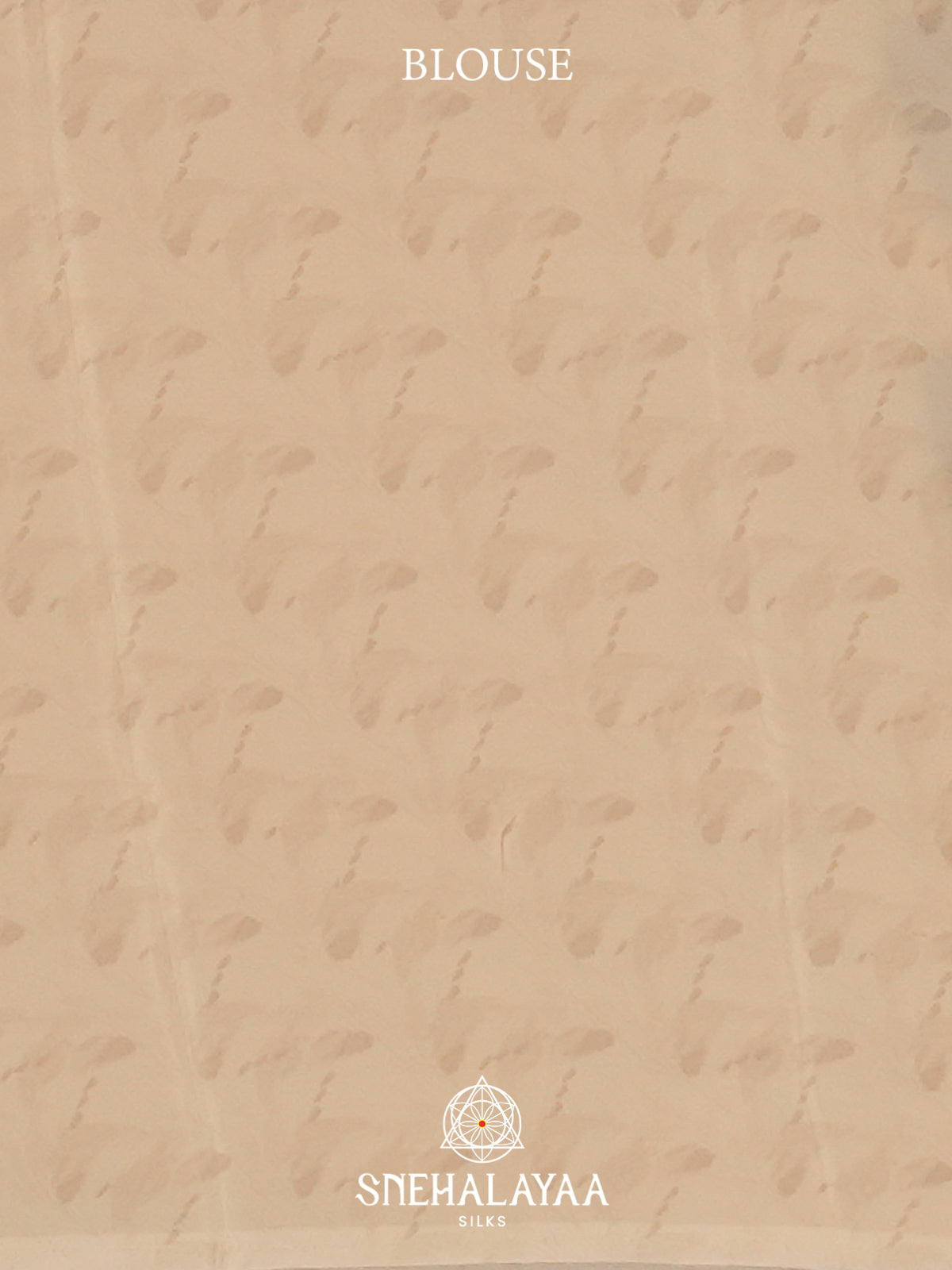 Cream Chiffon Saree