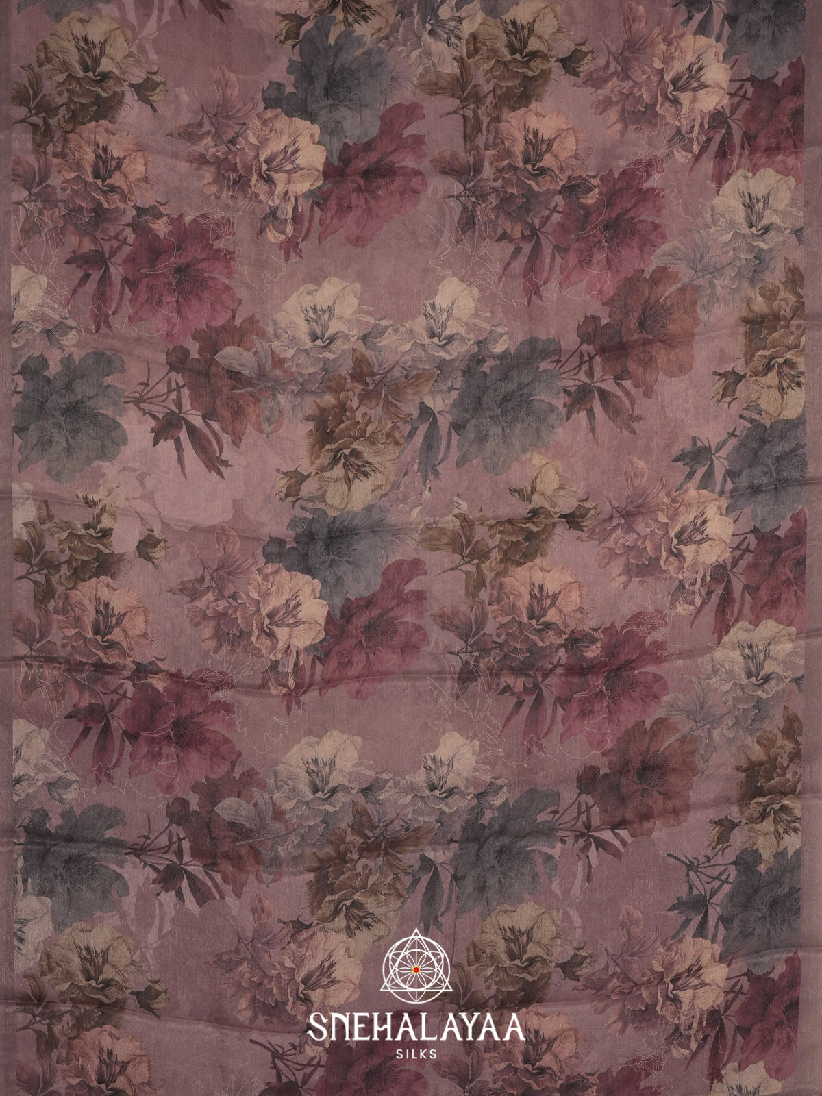 Brown Chiffon Saree