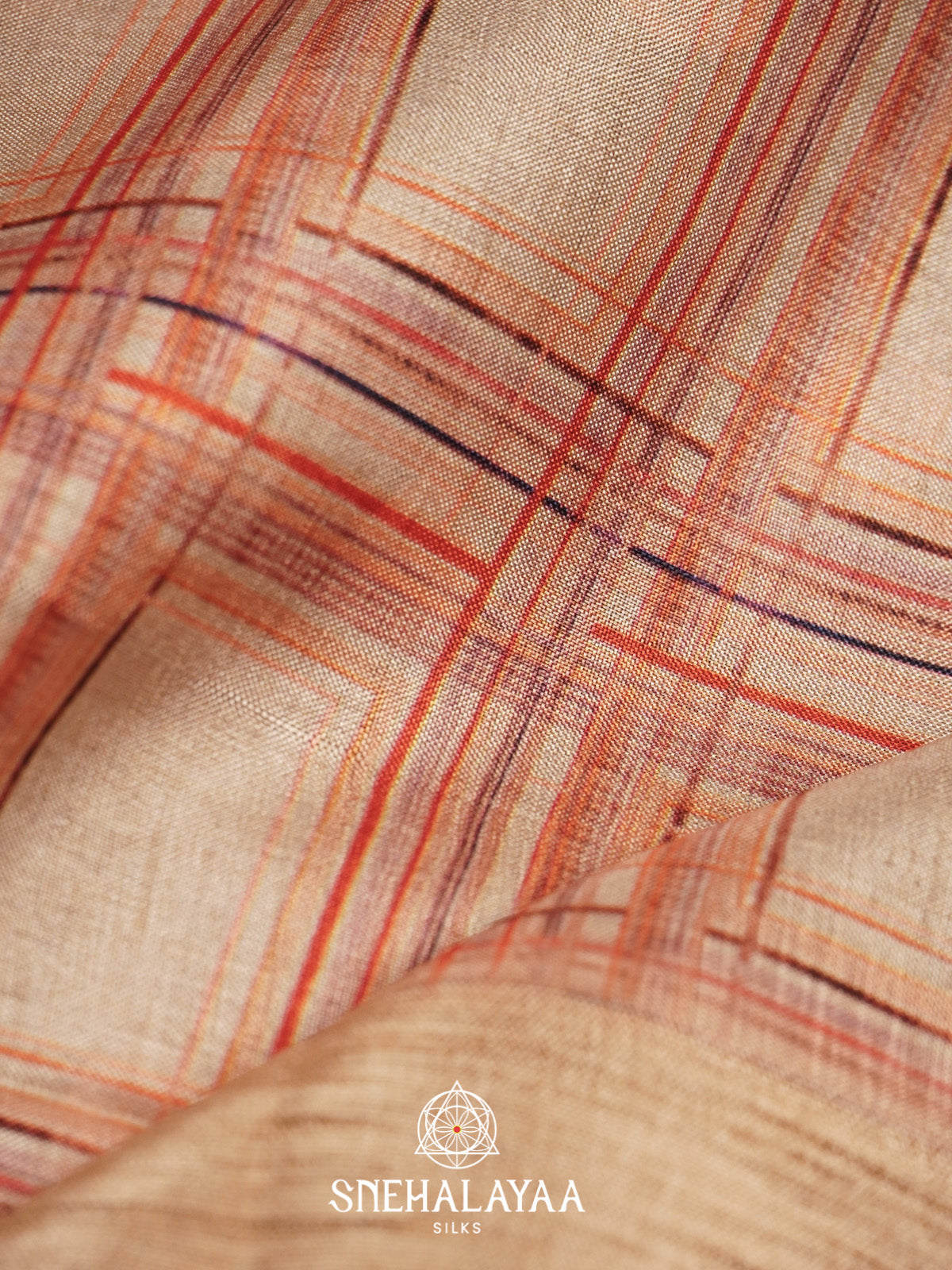 Beige Tussar Saree