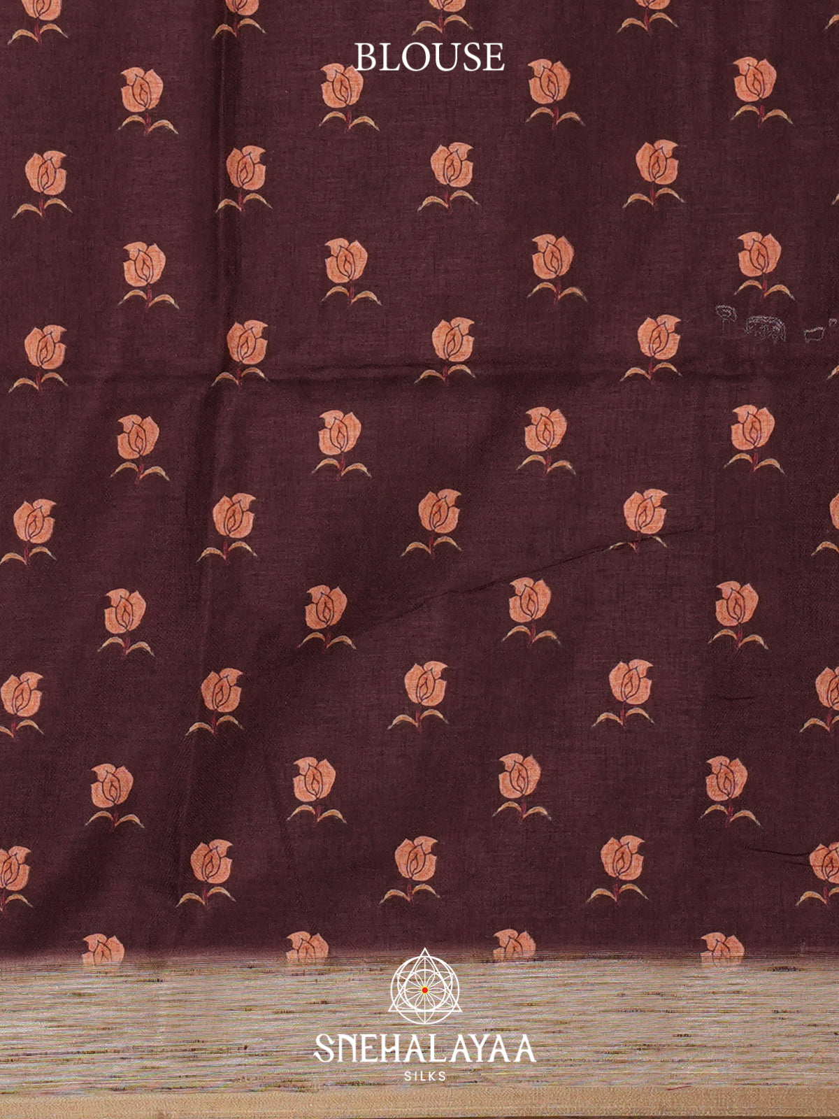 Beige Tussar Saree