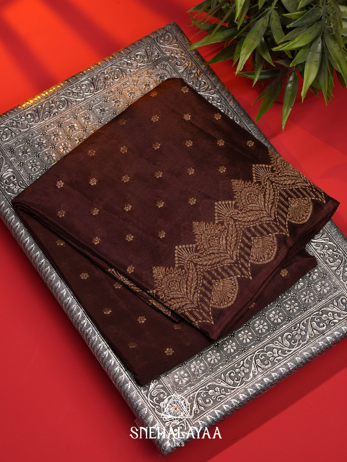 Coffee Brown Banaras Saree