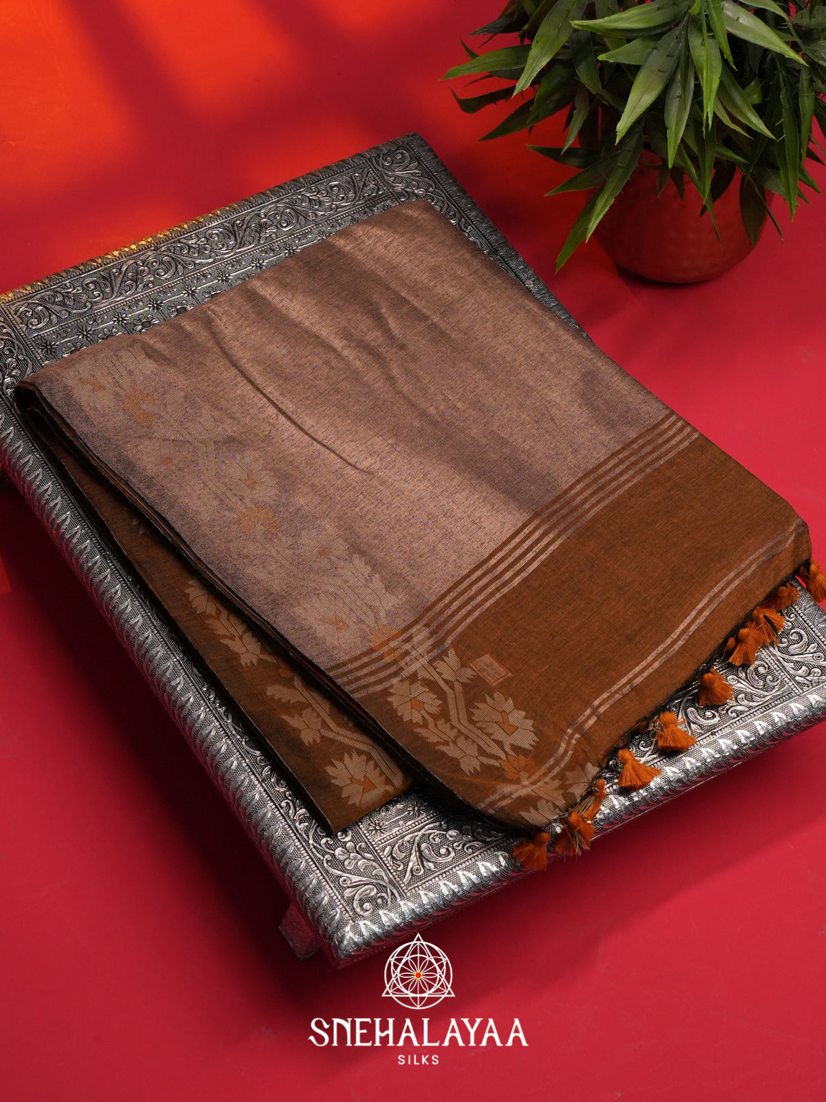 Brown  Mul Cotton Saree