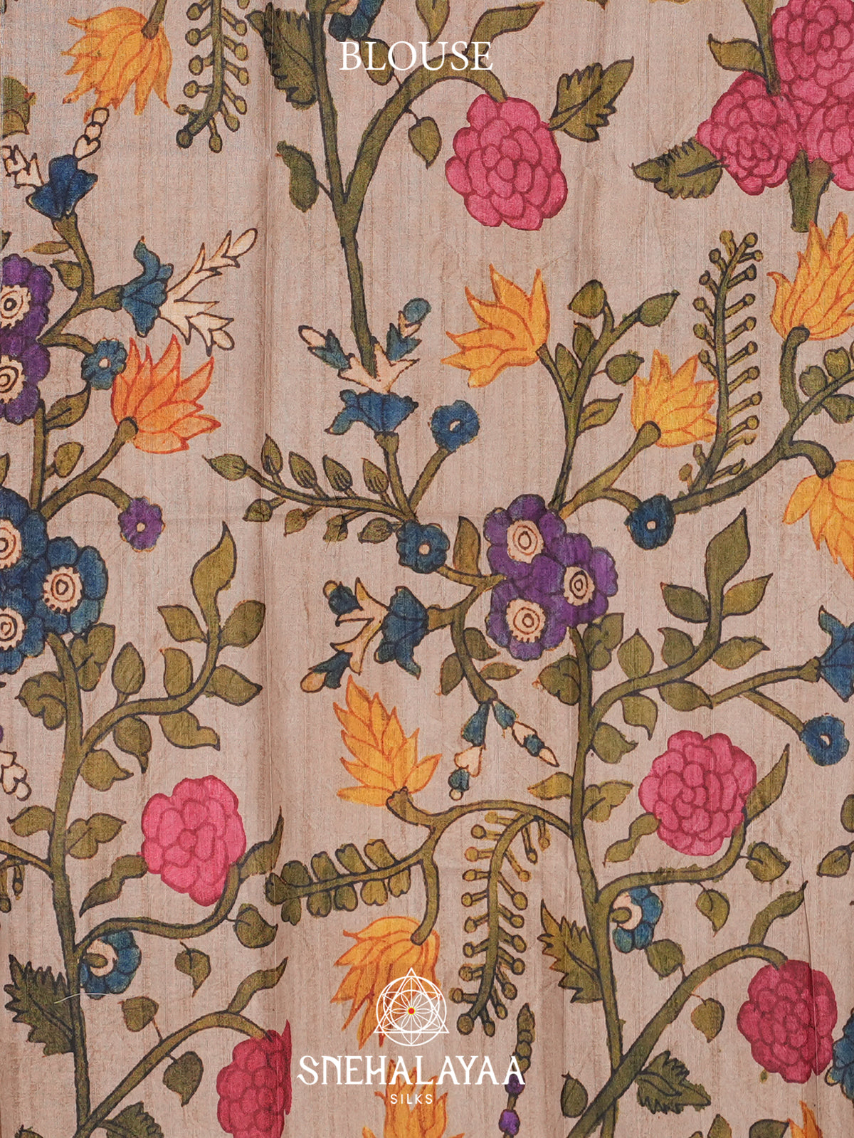 Brown Tussar Saree