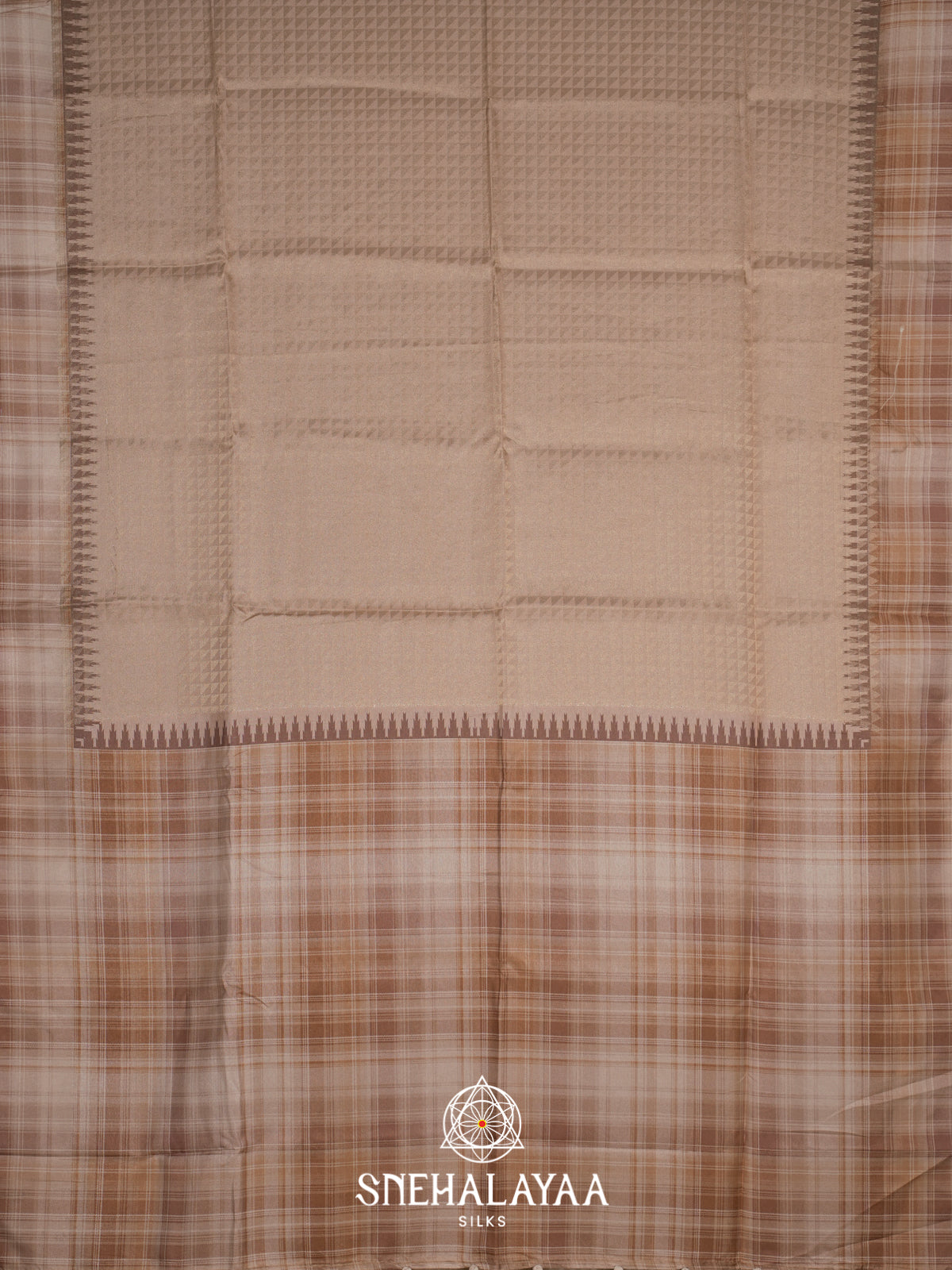 Brown Tussar Saree