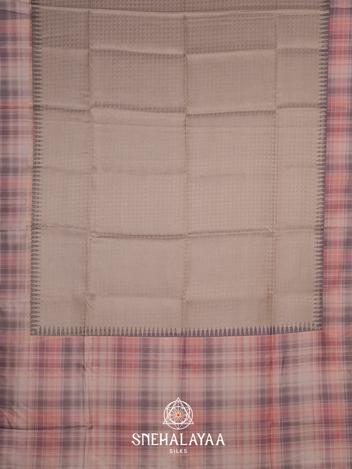 Beigy Grey  Tussar Saree