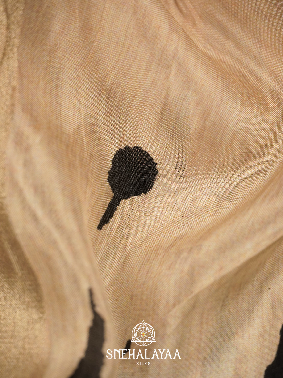 Cream with Black Semi Crepe Silk Saree