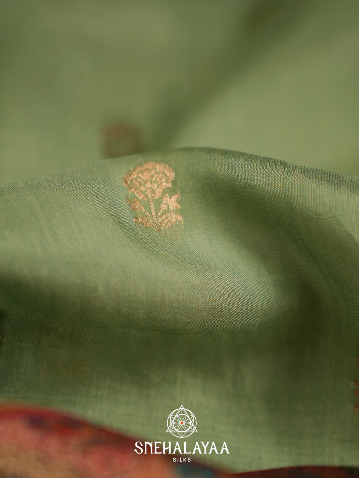 Olive Green Banaras Saree