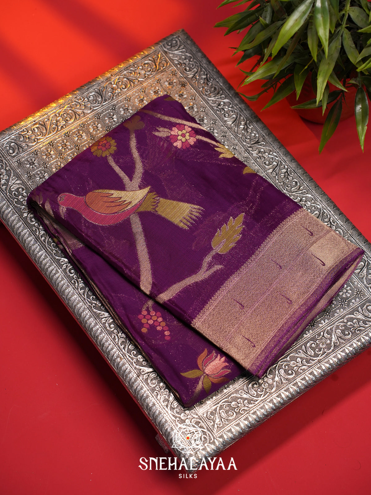 Violet Kota Saree
